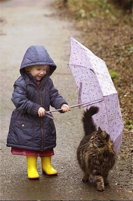 дети и дождь