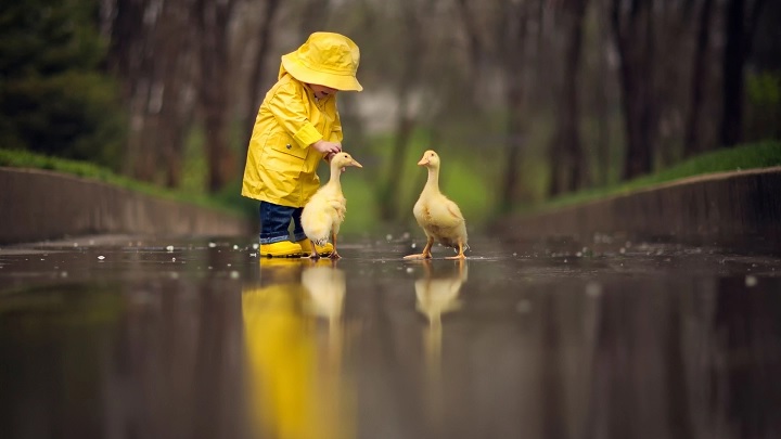 дети и дождь
