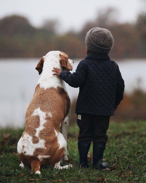 мальчик с собакой